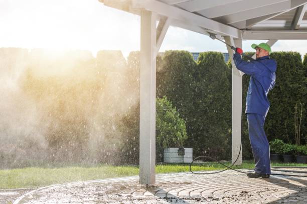 Best Driveway Pressure Washing  in Ligonier, IN