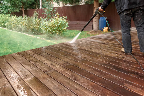 Best Fence Cleaning  in Ligonier, IN