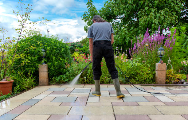 Best Winterizing Services  in Ligonier, IN